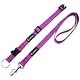 Purple Polyester dog collar